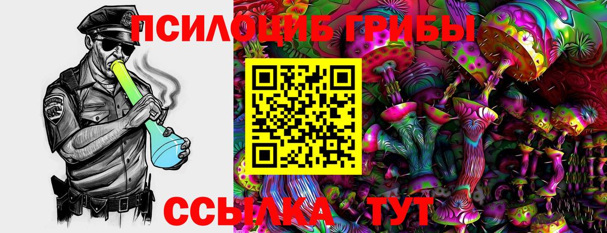 Галлюциногенные грибы MAGIC MUSHROOMS Георгиевск