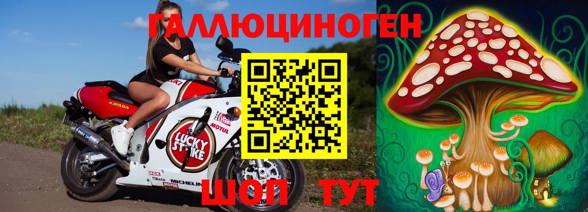 Псилоцибиновые грибы ЛСД  Галлюциногенные грибы Psilocybine cubensis  Георгиевск  Вход с VPN 